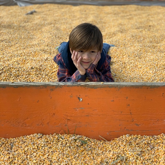 Meet your Posher, Daniel - Picture 1 of 1